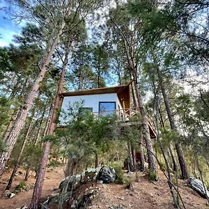 Сasa de vacaciones Casita Colgada Lia, La Guancha